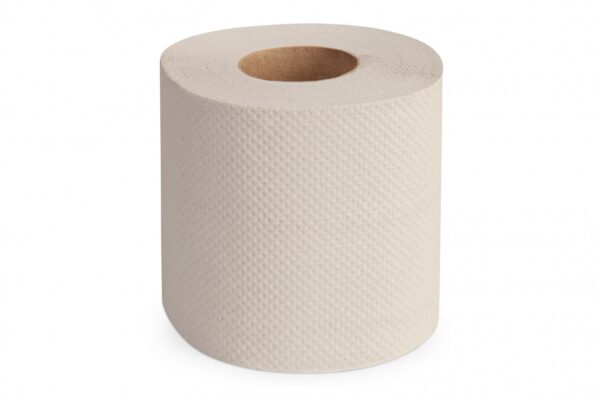 Huchtemeier Toilettenpapier Premium, 2-lagig, 250 Blatt, weiß, recycling - Expert Medizinbedarf