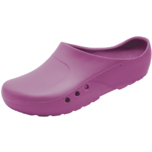 CHIROCLOGS Economy, aubergine, Gr. 37