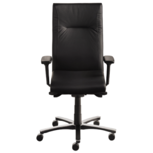 Mayer - Drehstuhl myNEW VISION XXL, Leder, Armlehne höhenverstellbar